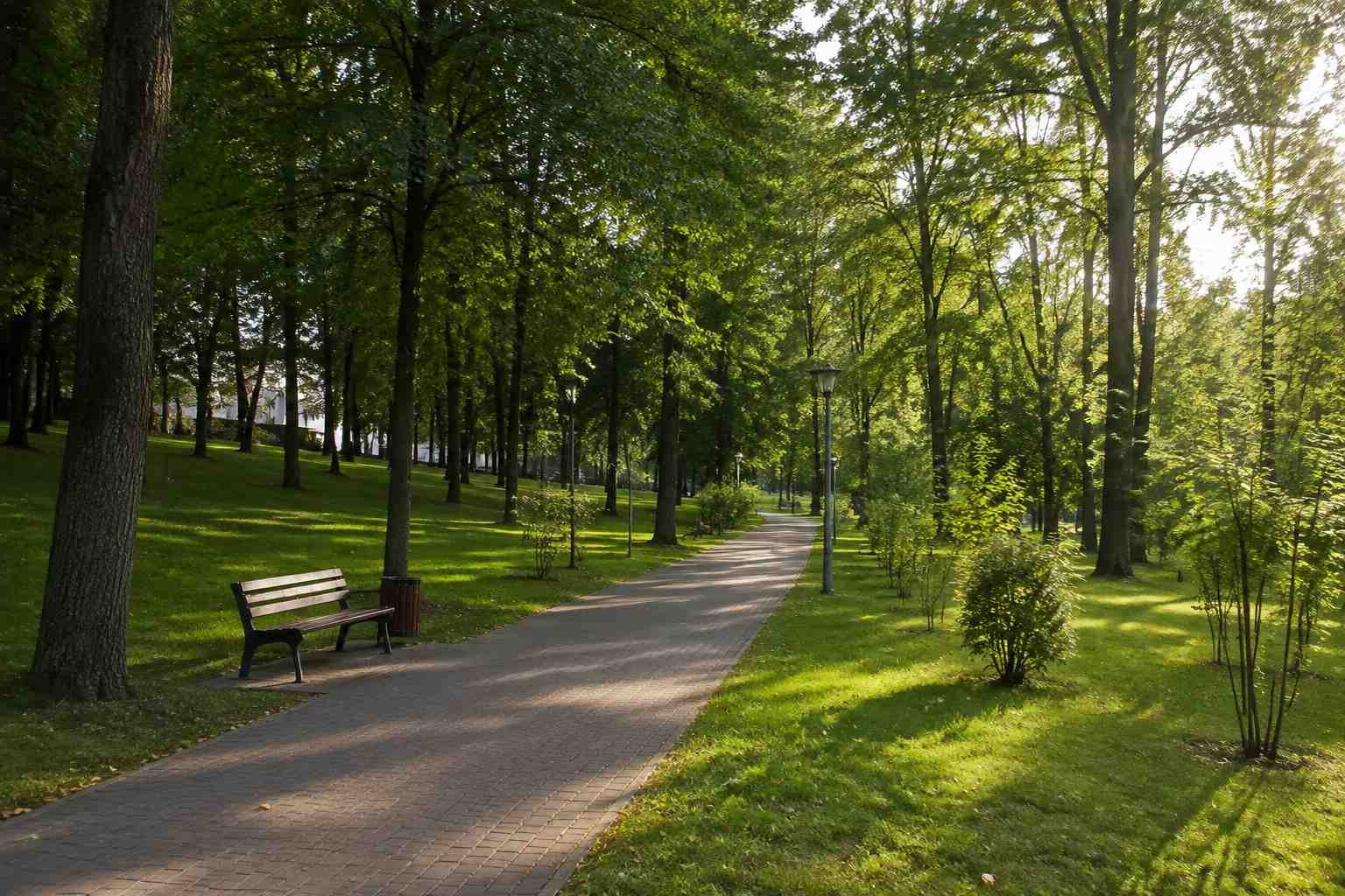 https://kaluga.blago-s.ru/storage/app/uploads/public/6a7/eef/ed2/6a7eefed2af22038960370.jpg